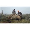 Image 5 : Idaho Bull Elk Hunt for Two Hunters