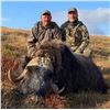 Image 4 : Greenland Musk Ox Hunt for 1 Hunter