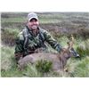 Image 3 : Scotland Spring Roe Buck Hunt for 1 Hunter