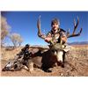 Image 1 : Arizona Mule Deer Hunt for 1 Hunter