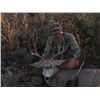 Image 3 : Arizona Mule Deer Hunt for 1 Hunter