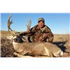 Image 4 : Arizona Mule Deer Hunt for 1 Hunter
