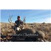 Image 5 : Arizona Mule Deer Hunt for 1 Hunter