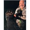 Image 12 : Minnesota Giant Black Bear Hunt for 1 Hunter