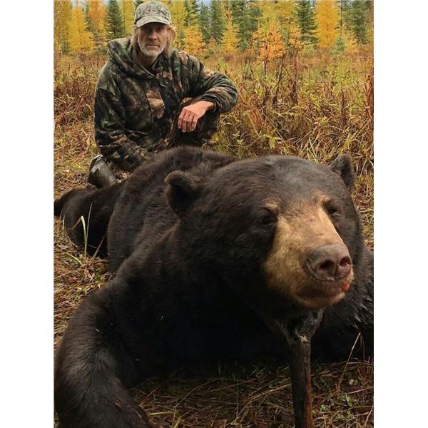 Minnesota Giant Black Bear Hunt for 1 Hunter