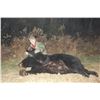 Image 7 : Minnesota Giant Black Bear Hunt for 1 Hunter