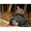 Image 9 : Minnesota Giant Black Bear Hunt for 1 Hunter
