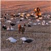 Image 3 : Premier North Dakota Waterfowl Hunt for Two Hunters