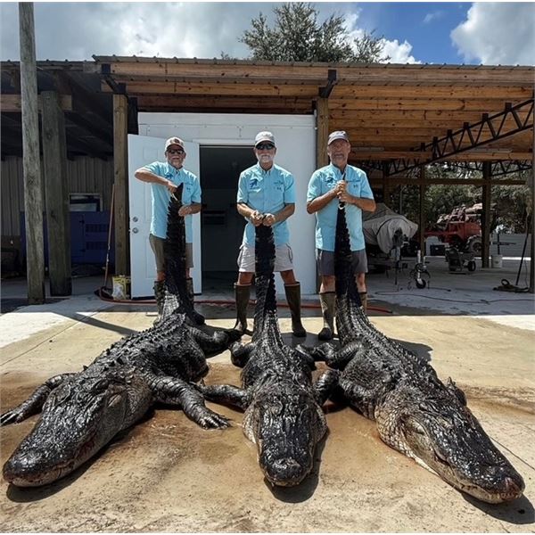 Florida Trophy Alligator Hunt for 1 Hunter