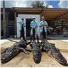 Image 1 : Florida Trophy Alligator Hunt for 1 Hunter