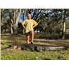 Image 2 : Florida Trophy Alligator Hunt for 1 Hunter