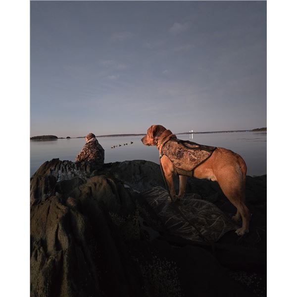 Traditional New England Sea Duck Hunt for 2 Hunters
