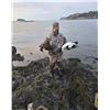 Image 3 : Traditional New England Sea Duck Hunt for 2 Hunters