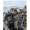Image 4 : Traditional New England Sea Duck Hunt for 2 Hunters