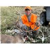 Image 4 : Premier Southern Illinois Whitetail Hunt for Two