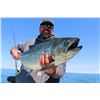 Image 1 : Lake Ontario fishing trip for up to 4 anglers