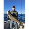 Image 8 : Lake Ontario fishing trip for up to 4 anglers