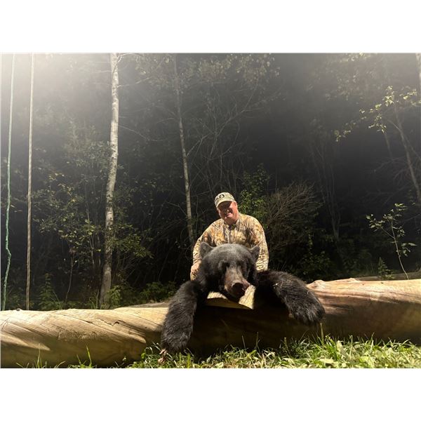 Maine Black Bear hound hunt for 1 hunter