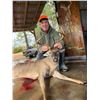 Image 2 : North Carolina Whitetail deer hunt for two (2) hunters