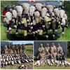 Image 1 : New York Fall Canada Goose Hunt for Up to 4 Hunters