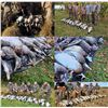 Image 6 : New York Fall Canada Goose Hunt for Up to 4 Hunters