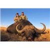 Image 1 : South Africa Trophy Cape Buffalo up to 42” Hunt