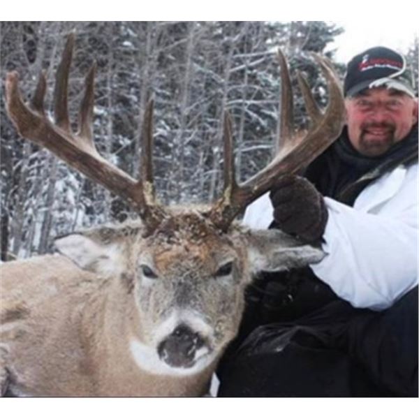 Saskatchewan Trophy Whitetail Hunt
