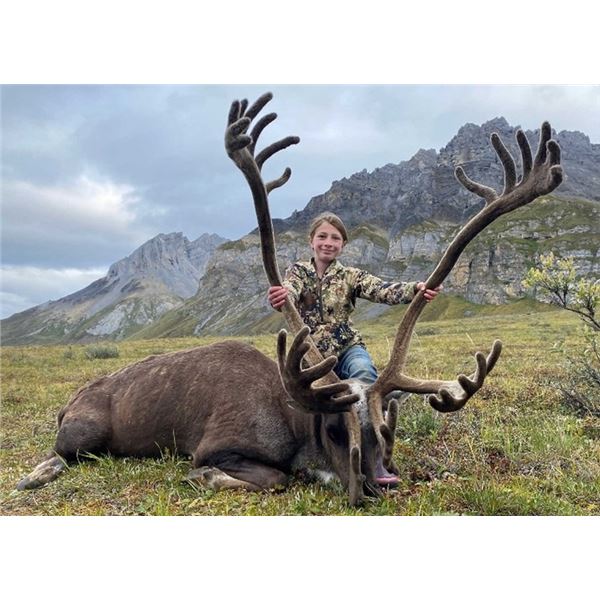 Alaska Trophy Caribou Hunt for 2 Hunters