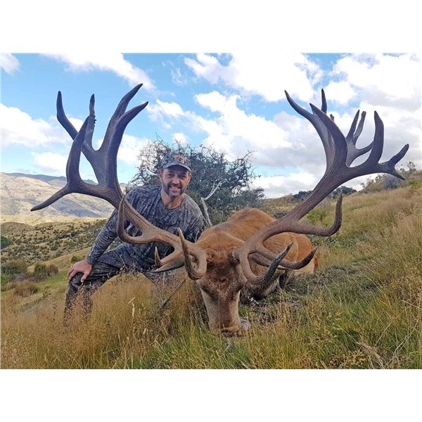3 Trophy New Zealand Hunt of a Lifetime - Red Stag, Bull Tahr and Chamois Hunt