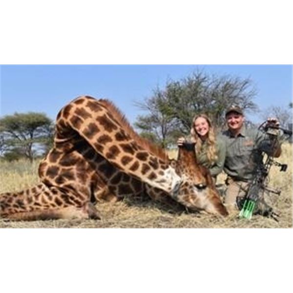 7 Day Giraffe, Zebra, Impala, and Blesbuck, plus $1000 taxidermy package