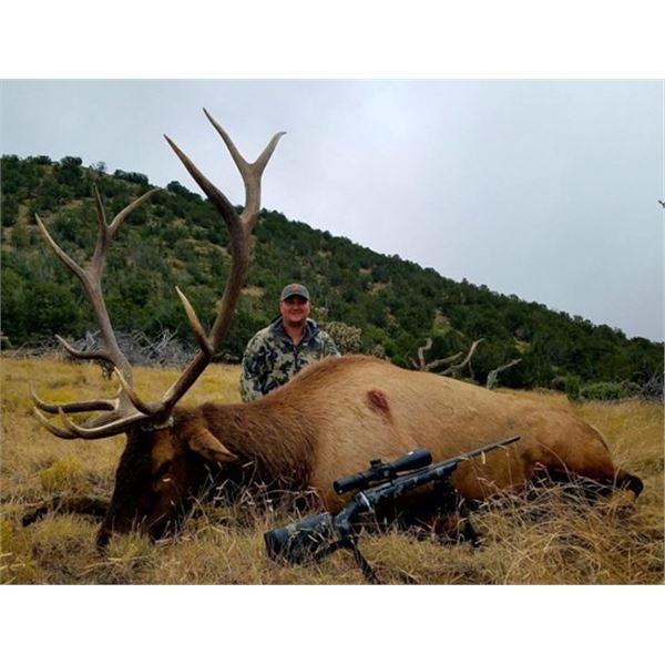 New Mexico Elk Rifle Hunt for 2