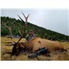 Image 1 : New Mexico Elk Rifle Hunt for 2
