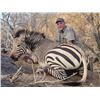 Image 2 : South Africa - Red Duiker, Blue Wildebeest, Zebra