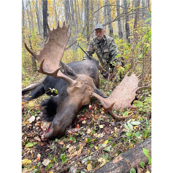 7 Day Canadian Moose Rut Hunt