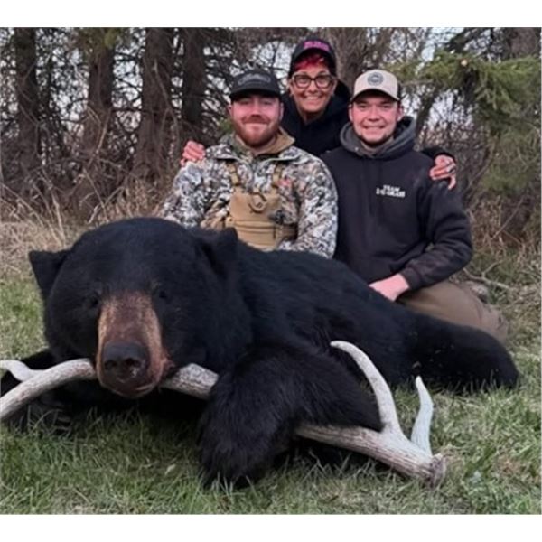Manitoba Black Bear Hunt & Walleye Fishing