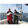 Image 1 : Lake Michigan Salmon/Trout Fishing Charter