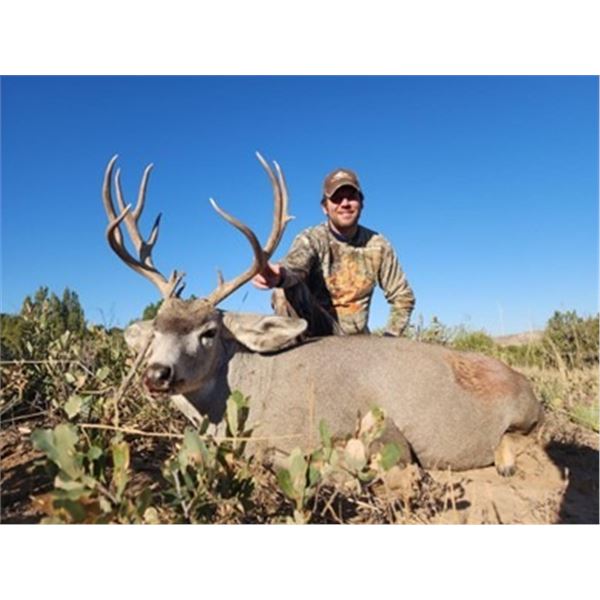 New Mexico Mule Deer Hunt for 2