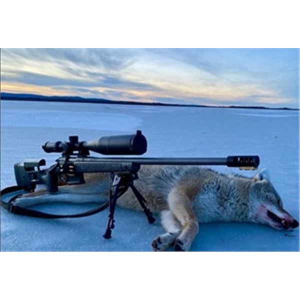 Alberta Wolf Hunt & Trap Line
