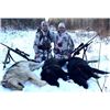 Image 2 : Alberta Wolf Hunt & Trap Line