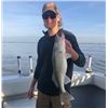 Image 2 : Lake Erie Walleye Fishing Trip