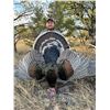 Image 1 : Mexico Gould’s Turkey Hunt