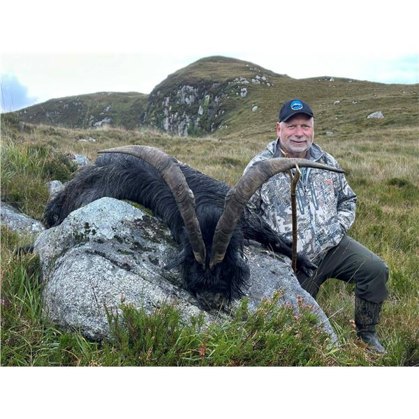 Ireland Sika Stag and Wild Irish Goat Hunt