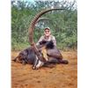 Image 1 : South Africa Trophy Sable Bull Hunt up to 42”