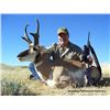 Image 1 : Wyoming Trophy Antelope Hunt- 3 Day