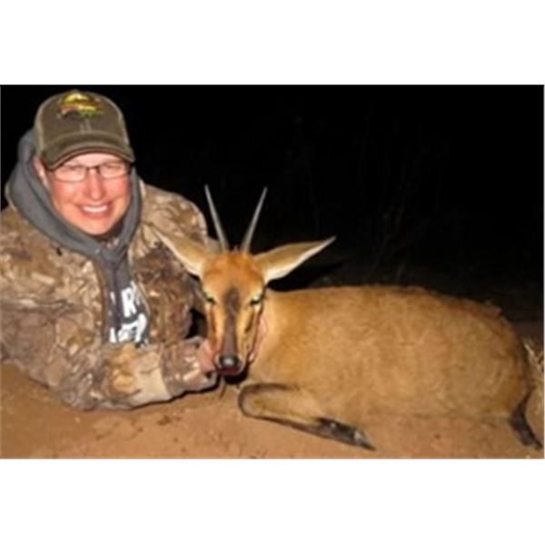 Caracal with Hounds, Serval, Duiker, Steenbuck Safari