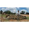 Image 1 : 5 Day African Crocodile Hunt for 1 Hunter