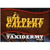 Image 1 : $3,000 Taxidermy Credit