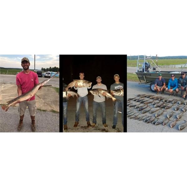 Illinois Full Day Bowfishing For 4