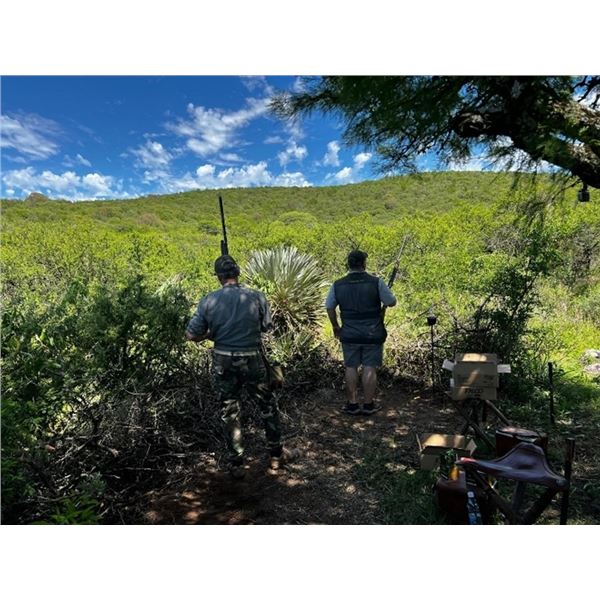 Argentina Dove Hunt – 4 Hunters