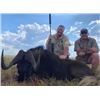 Image 2 : African Long Range Challenge for 2 Hunters Chris DuPloy Safaris